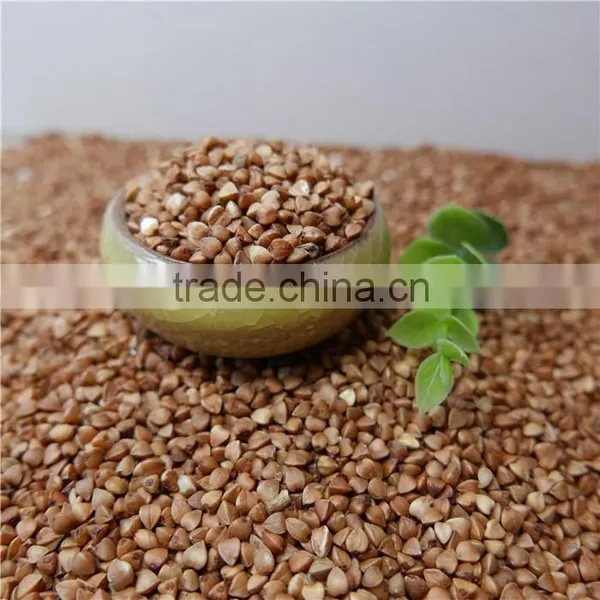 Best Quality Roasted Buckwheat Kernel photo-3