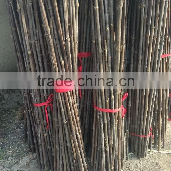 Natural/cheap/raw Eco-friendly Bamboo Poles photo-2