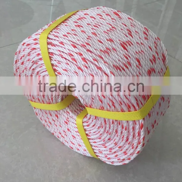 Best Quanlity 2016 China PP Danline Rope,PP Rope,,hot Sall PP Color Rope photo-6