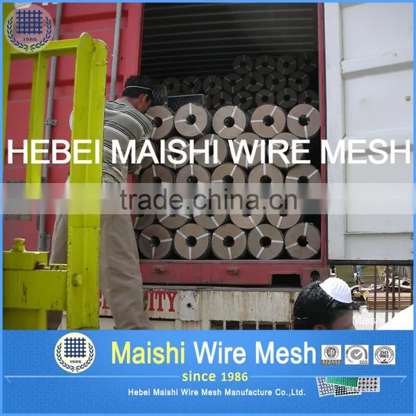 Galvanized Hexagonal Wire Mesh photo-6