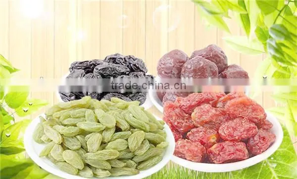 Stainless Steel Jack Fruit Drying Dryer/jack Fruit Dryer Machine With Good Quality photo-5