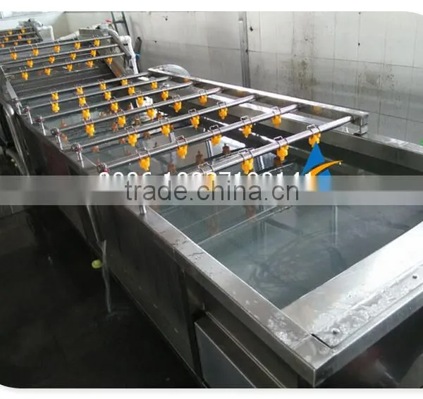 Commercial Use Fruit and Vegetable Cleaning Washing Machine photo-5