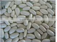 Anhui Professional Rrice Color Sorting Machine,Grain Color Sorter Supplier photo-6