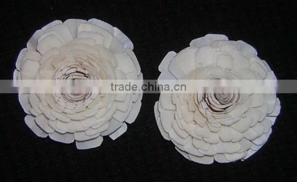 PROTE Asola Flower photo-3