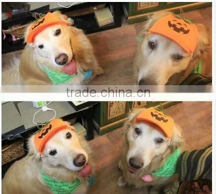 Pumpkin Base Ball Cap for Dog , Dog Pumpkin Base Ball Cap,pumpkin Dog Hat photo-2