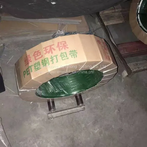 Green Embossed Polyester PET Plastic Strips for Packaging photo-3
