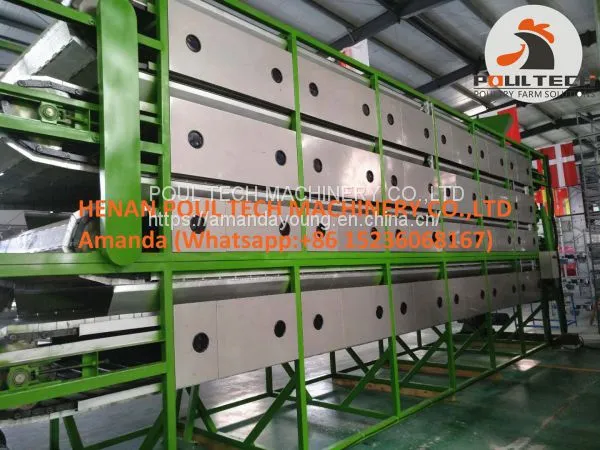 Chicken Manure Dryer Machine & Chicken Manure Treatment Machine photo-2
