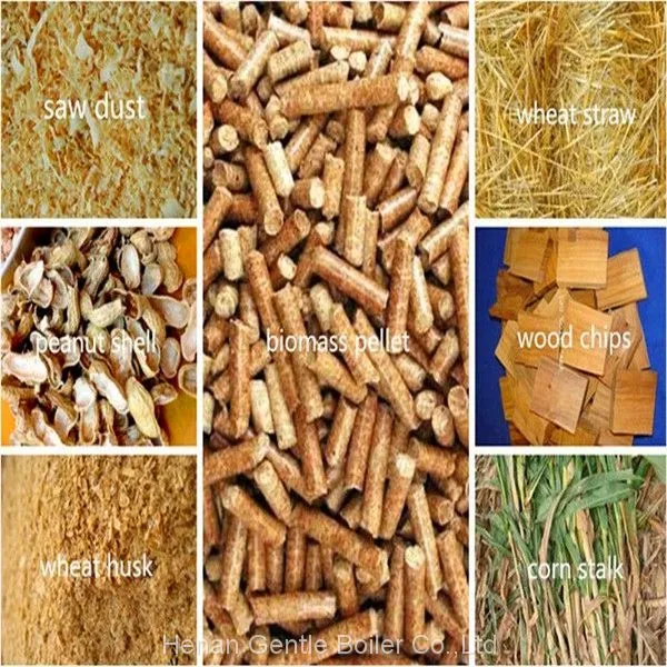 Industrial DZL Biomass Pellet/Wood Chips Steam Boiler for Plywood Hot Press Machine photo-4