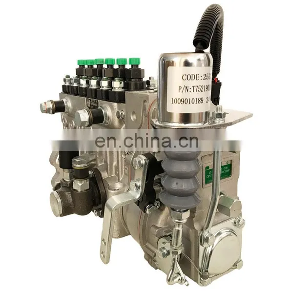 P/erkins 1006 Engine Injection Pump 10 403 576 112 10403576112 With ASIMCO Brand,CPES6PB110D120RS3162 Pump photo-4