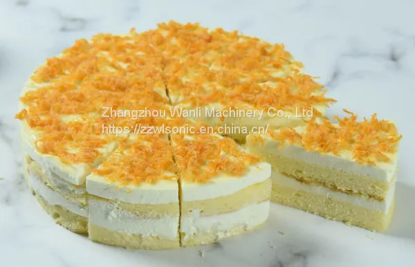 Hot Sale High Quality Industrial Cake Cutting Machine Slicer Lemon Cake Cutting Machine photo-3