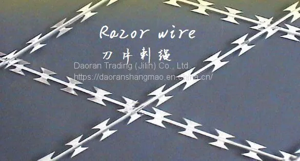 Barbed Wire / Razor Wire / Viper Net / Barbed Wire Rolling Cage photo-2