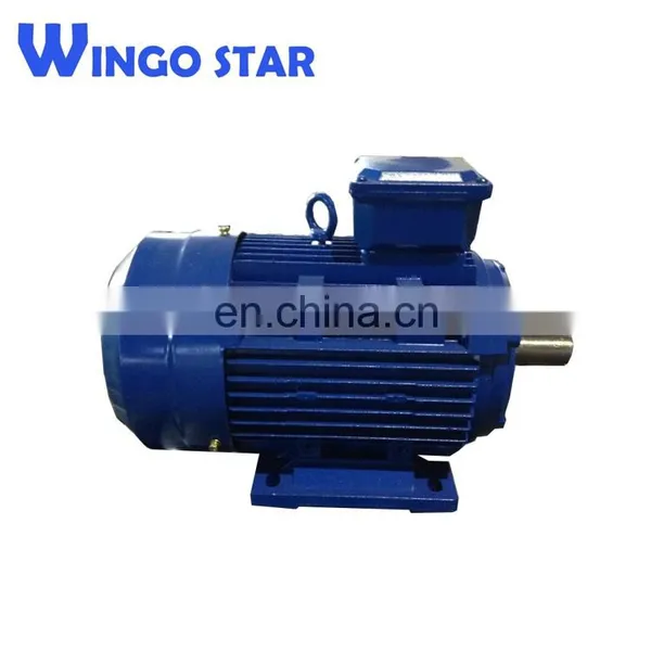 Single Phase & Three Phase AC Motor Electric Motor Belt Conveyor photo-2