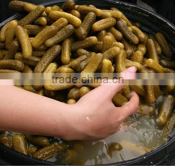 Gherkins in Drums
