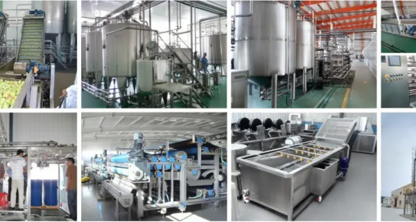 NFC Coconut Water Production Line photo-2