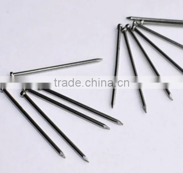 Construction Wire Nails Supplier/Wire Nail Price photo-6