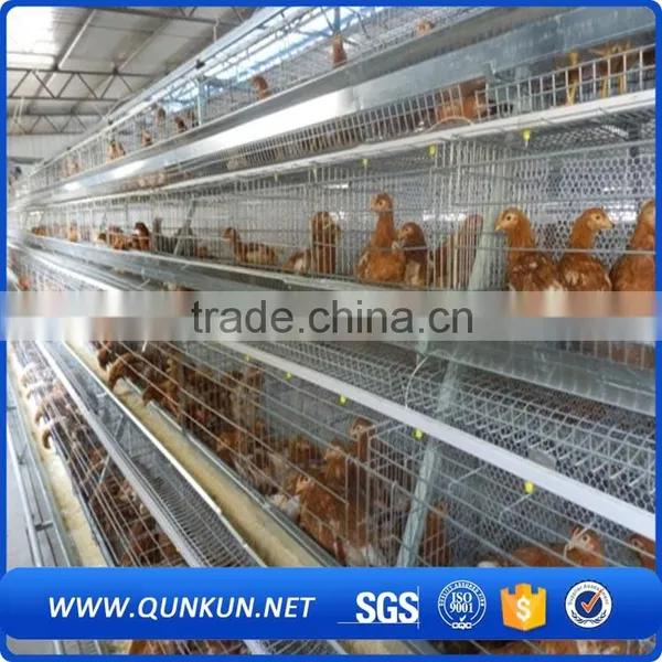 Samples of Poultry House for Layers photo-4