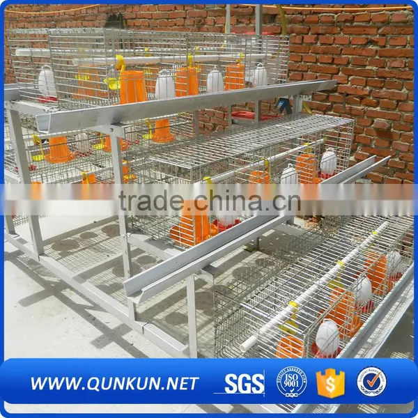 Automatic Chicken Layer Poultry Control Shed Equipment photo-2