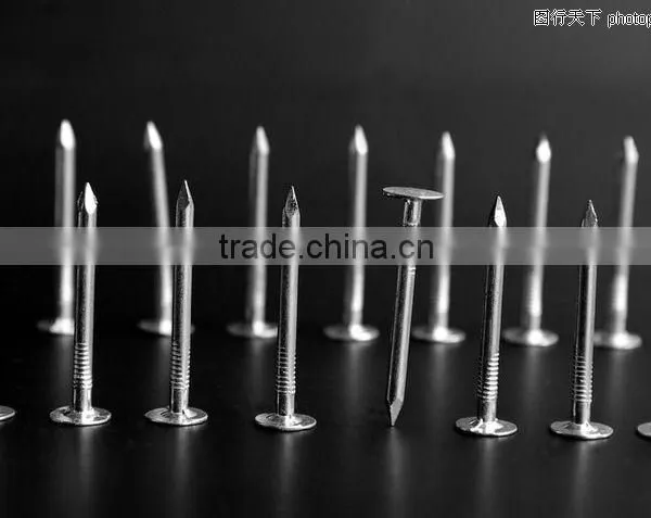 Steel Material and Roofing Nail Type Petrochemical External Wall Insulation Engineering Insulation Nails photo-5