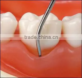 Dental Education Treating Periodontal Diseases for Teaching photo-3