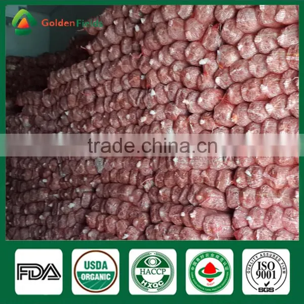 Shiitake Mushroom Fresh Health Food Shiitake Mushroom Whleseller photo-4