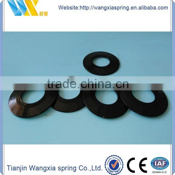 Double Coil Spring Washer photo-2