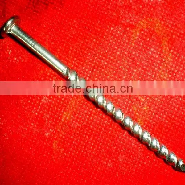 Kenya Market Surface Elcecto Galvanzied Twisted Nails photo-2