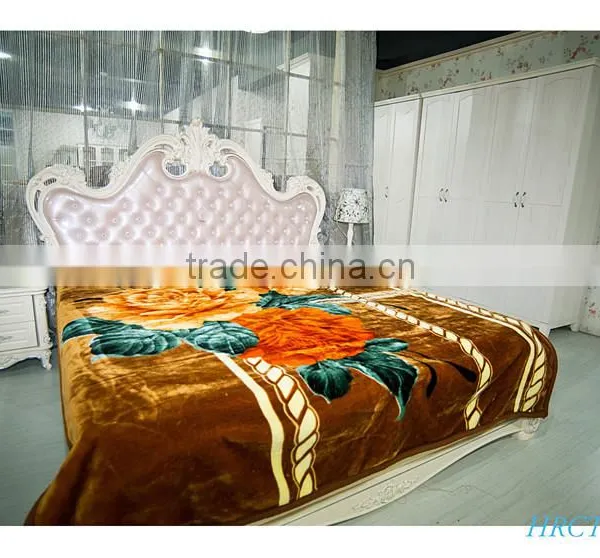 Hot Selling New Design 100 % Polyester Korean Style2Ply Mink Blanket