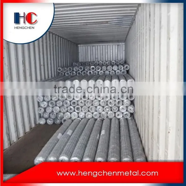 China Plant Galvanized Hexagonal Wire Mesh for Aviary photo-3