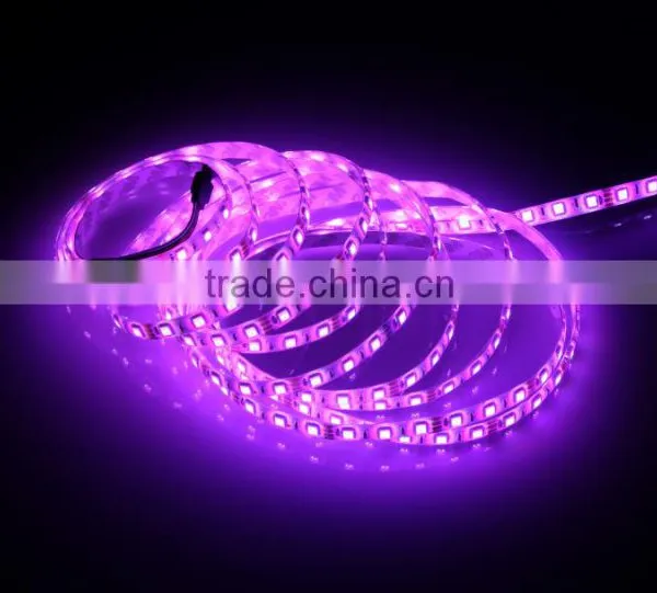 Home Hotel KTV Bar Decorative Colorful 5050SMD IP65 Waterproof RGB Flexible LED Strip Light photo-2