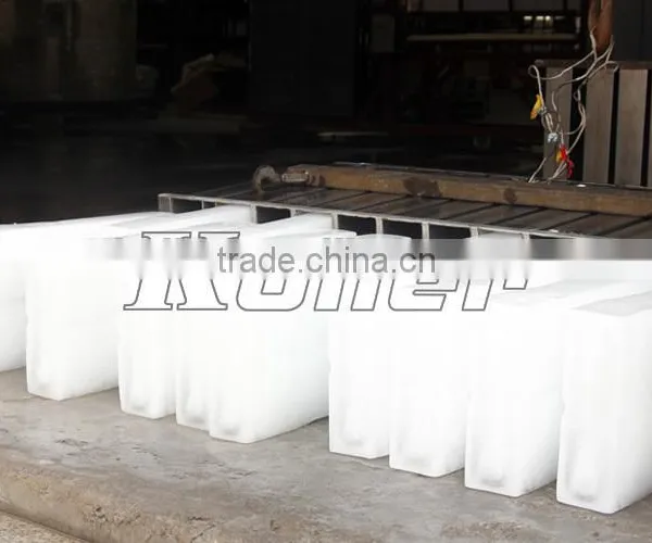 Ten Tons Tropical Design Ice Block Maker photo-6