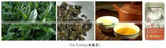 Green Tea SP2 ( Super Pekoe 2 ) is Famous Organic Tea From Tea Paris Viet Nam photo-6