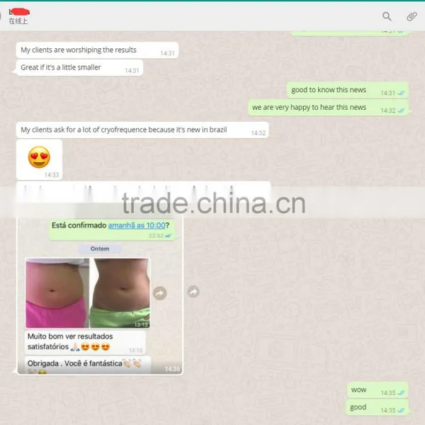 Spa Use Machine for Body Scupture Fat Removal Slimming Cryolipolise photo-6