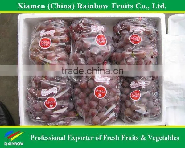 Grapes From China With Sweet Taste photo-2