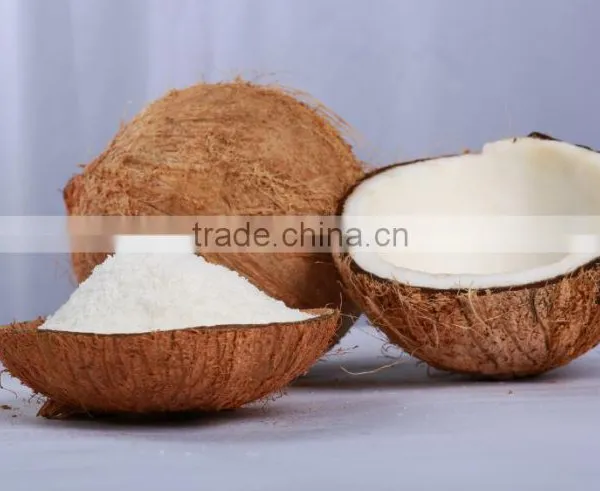 DESICCATED COCONUT HIGH FAT FINE GRADE - Premium Quality