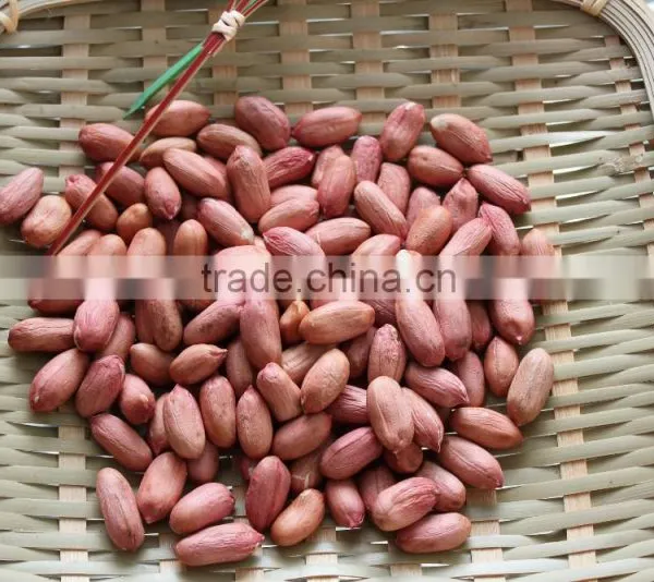 New Crops Red Skin Peanut Kernel photo-6