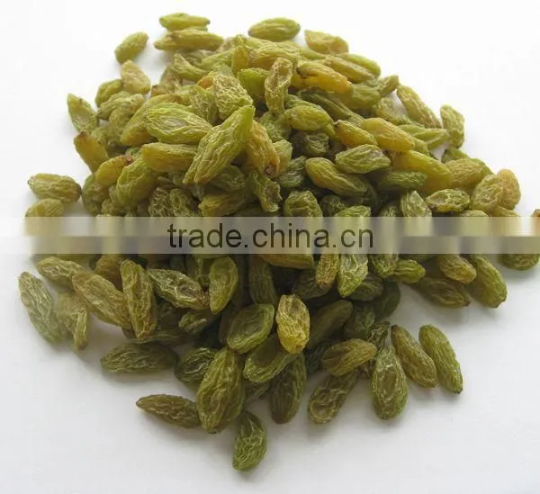 Top Quality Raisin(sun Dried) From Xinjiang photo-6