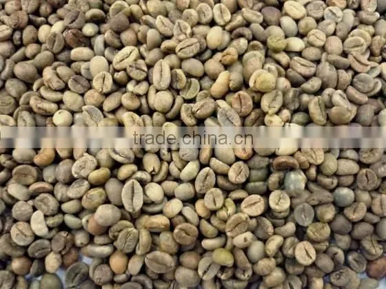 WET POLISHED ROBUSTA GREEN COFFEE BEANS GRADE 1 SCREEN 18 photo-5