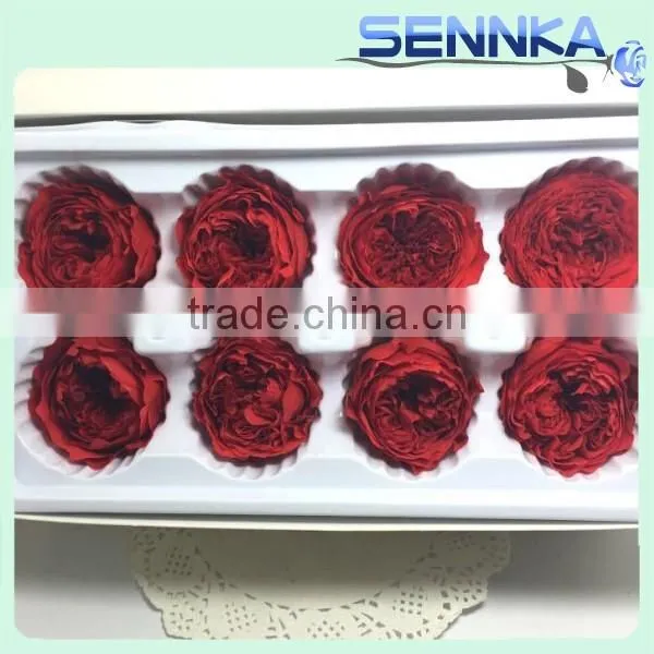 Import China Preserved Flowers Preserved Austin Rose Wholesale photo-4