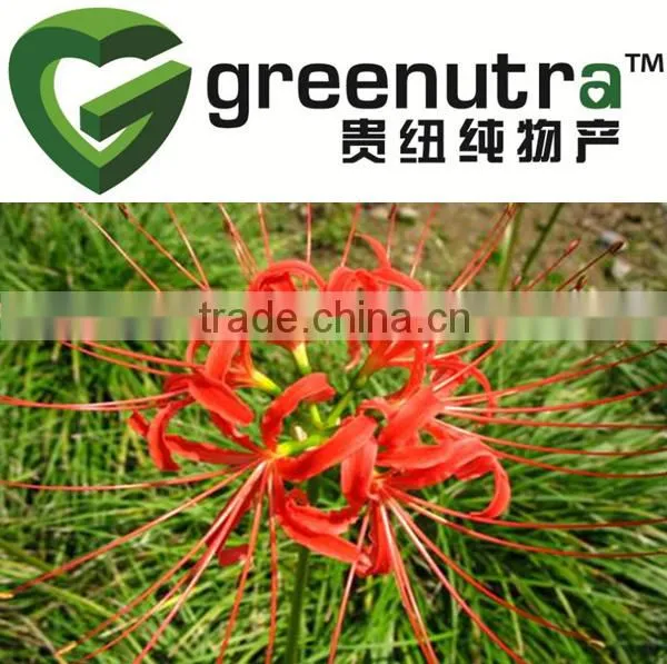 Galanthamine/lycoremine /Lycoris Extract photo-2