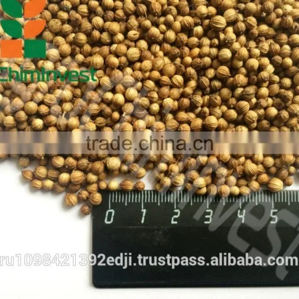 Coriander