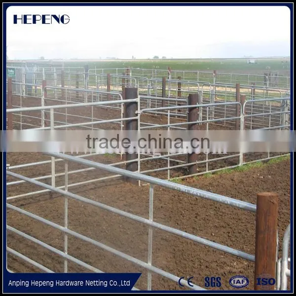Alive Cattle Panels / Sheep Panel / Livestock Panels Used for Sheep photo-2