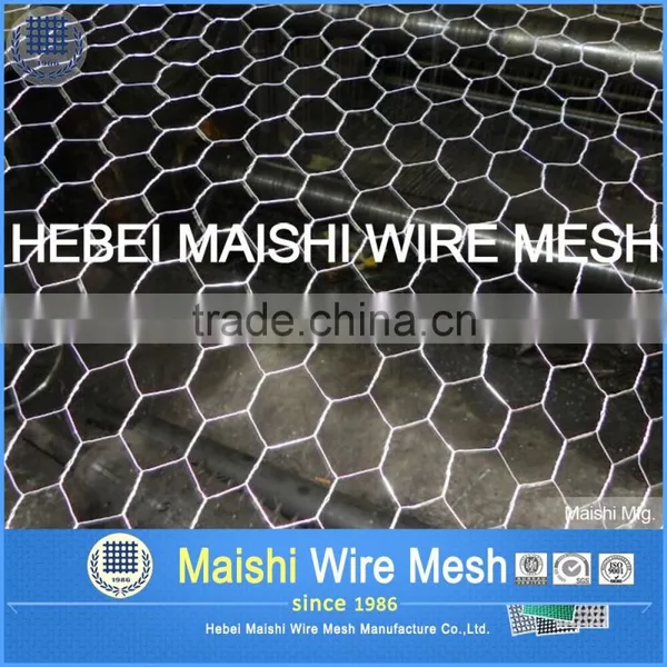 1inch Opening Galvanized Hexagonal Wire Netting Factory photo-6