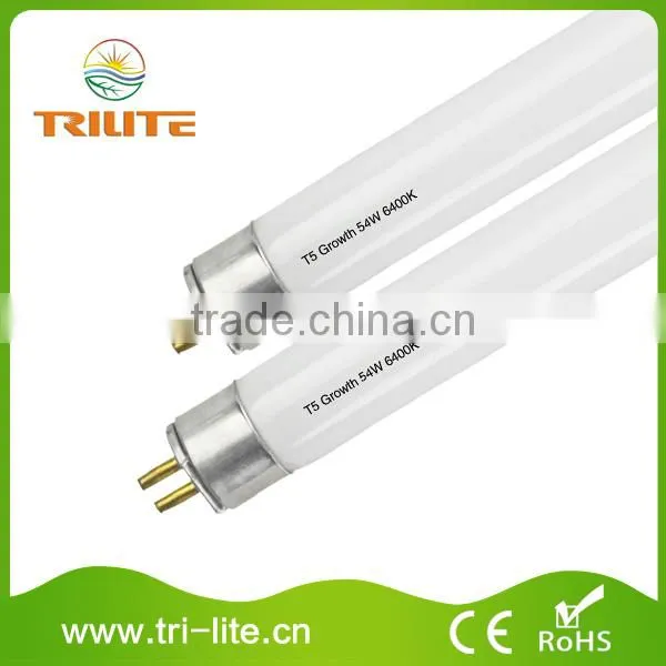 Fluorescent Greenhouse Indoor Lamp