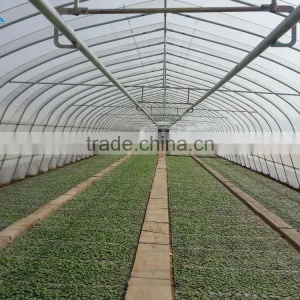 Low Cost Plastic Film Greenhouse For Tomatos photo-4