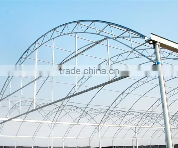 Mesh Netting for Greenhouse photo-3