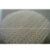 Plastic Structured Packing