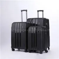 Business Luggage