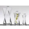 Clear Glass Vase