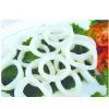 IQF Squid Rings