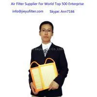 Air Intake Filter-the Air Intake Filter Supplier for World Top 500 Enterprises